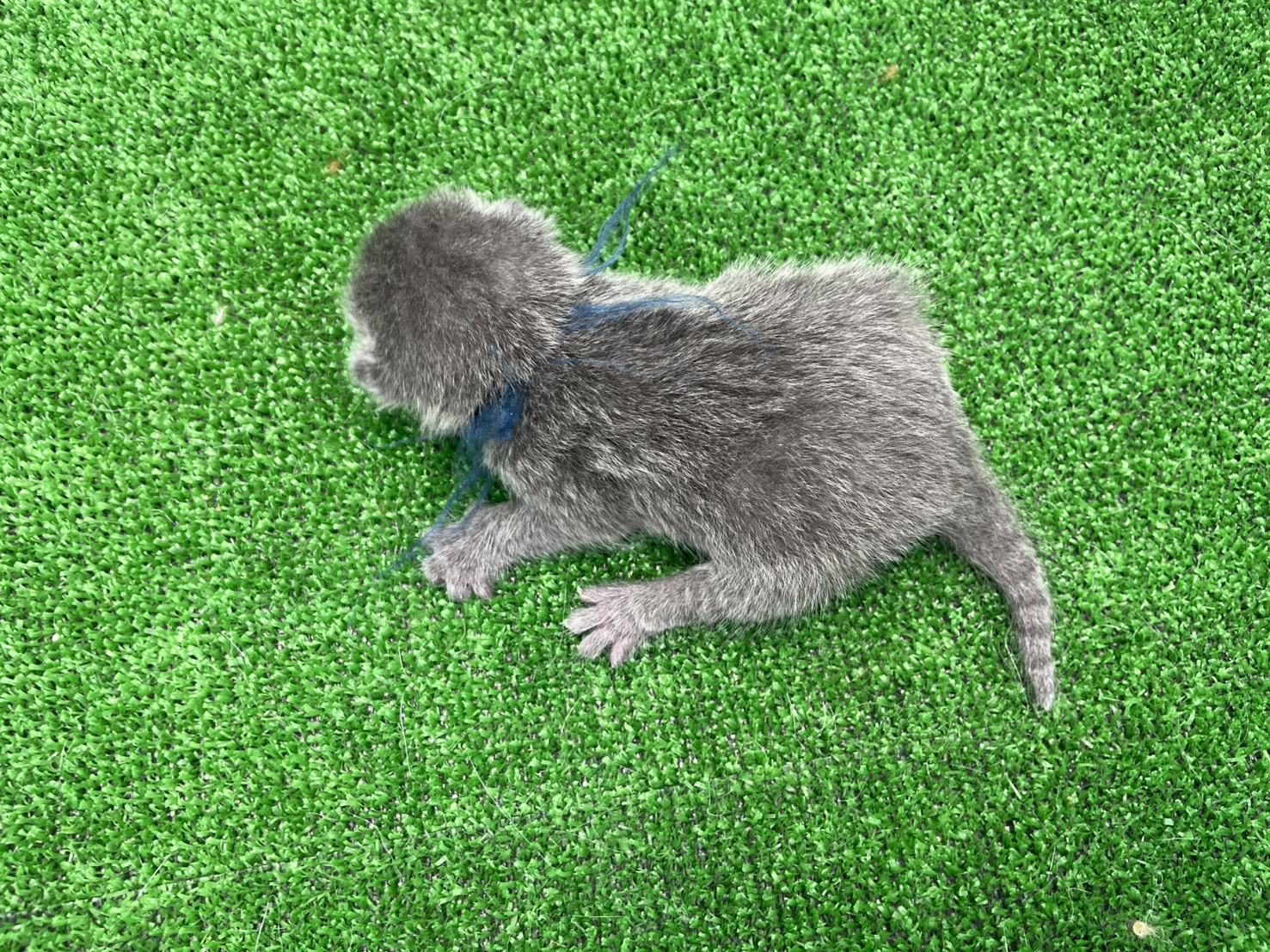 赤ちゃん写真1-3