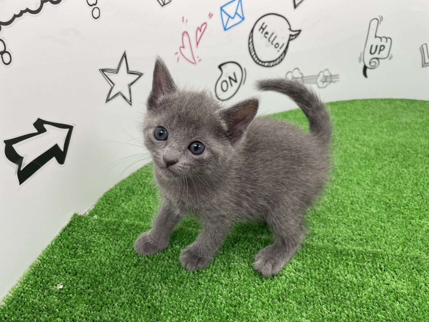 赤ちゃん写真2-1