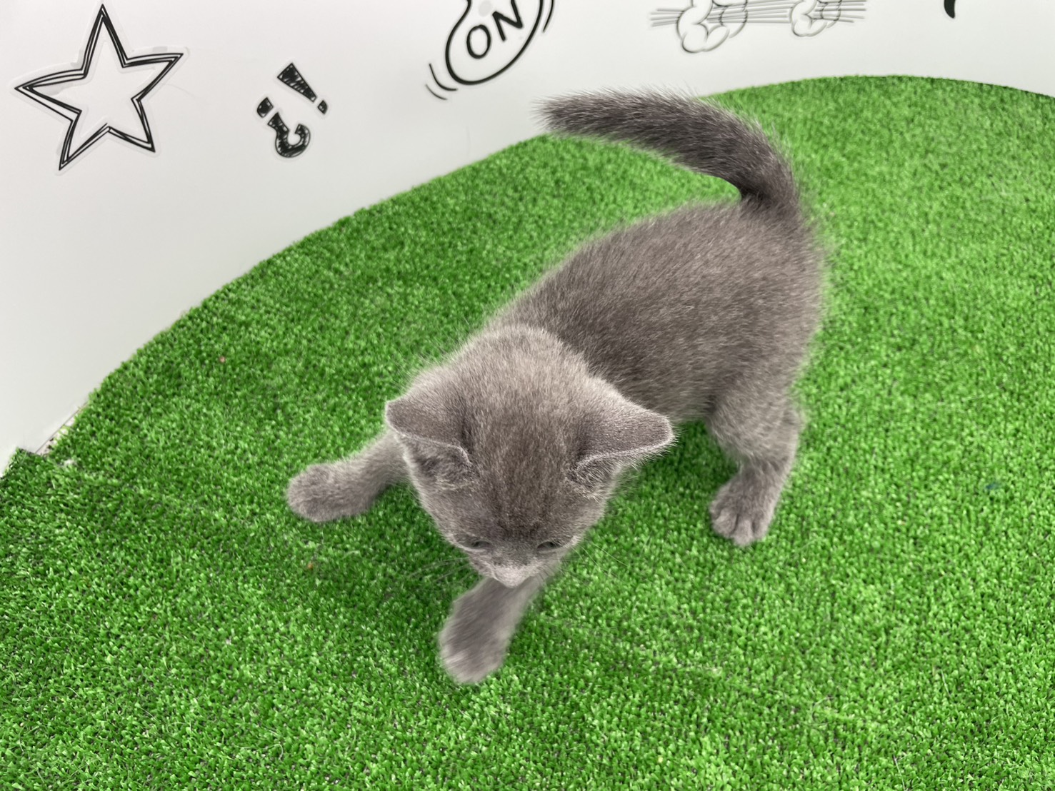 赤ちゃん写真2-3