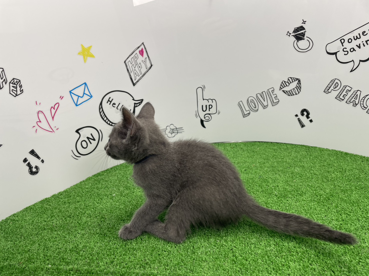 赤ちゃん写真3-2