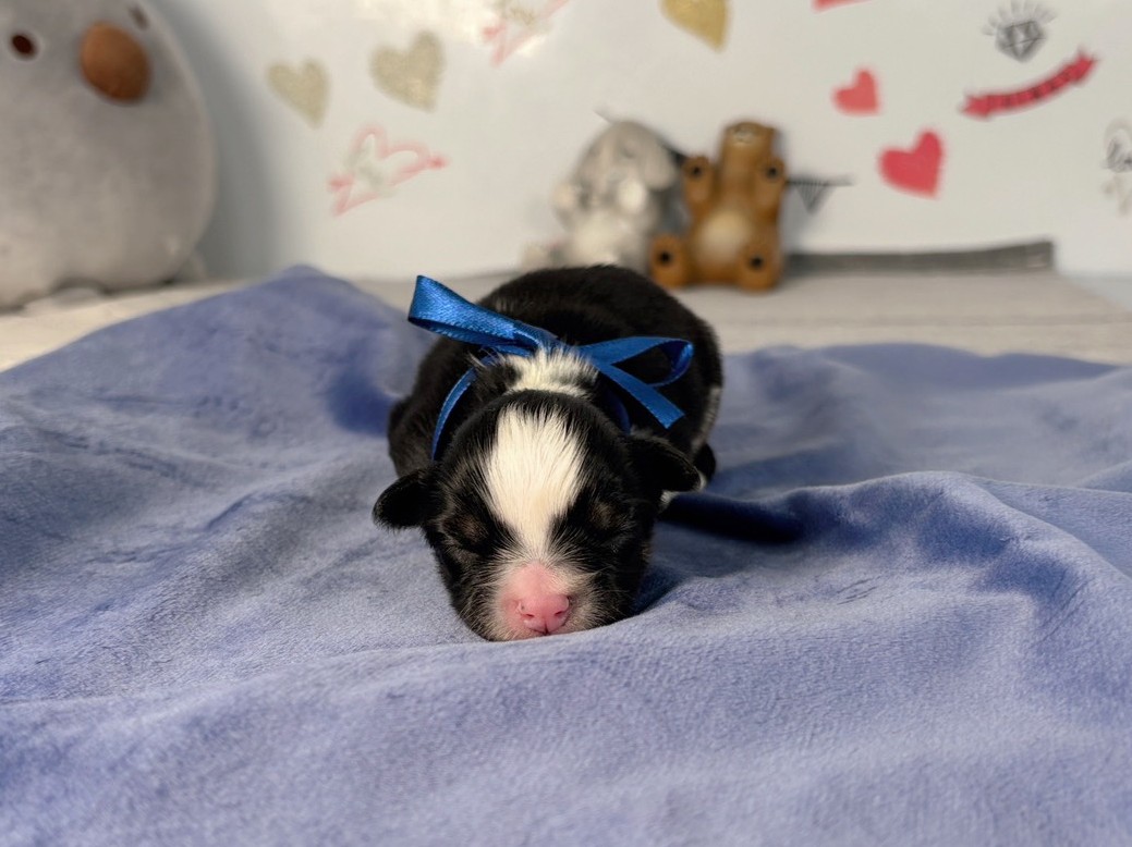 赤ちゃん写真1-1