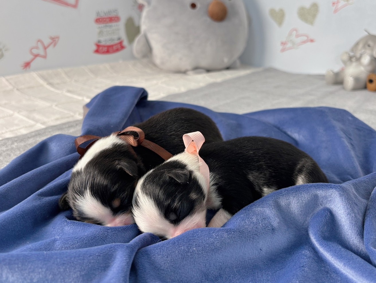 赤ちゃん写真1-3