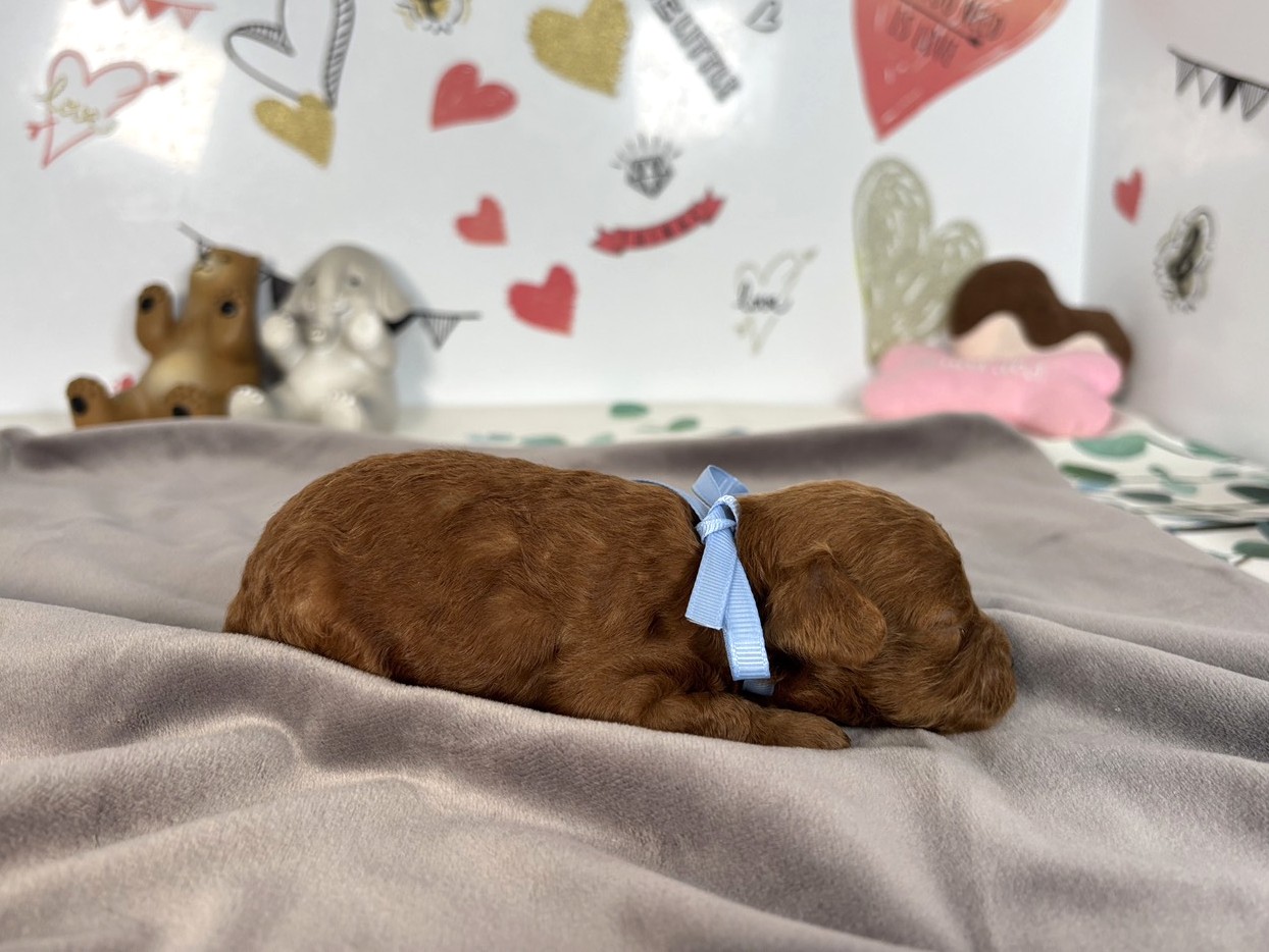 赤ちゃん写真1-2