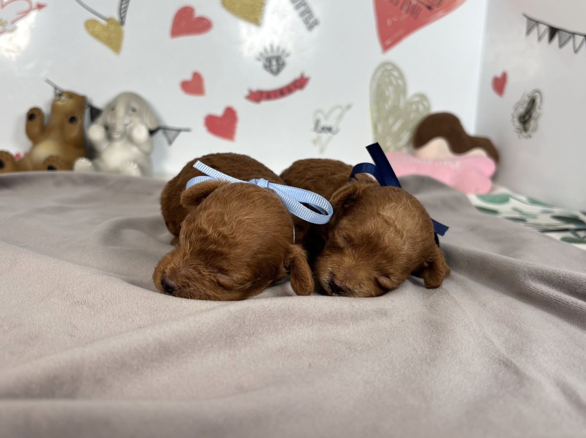 赤ちゃん写真1-3