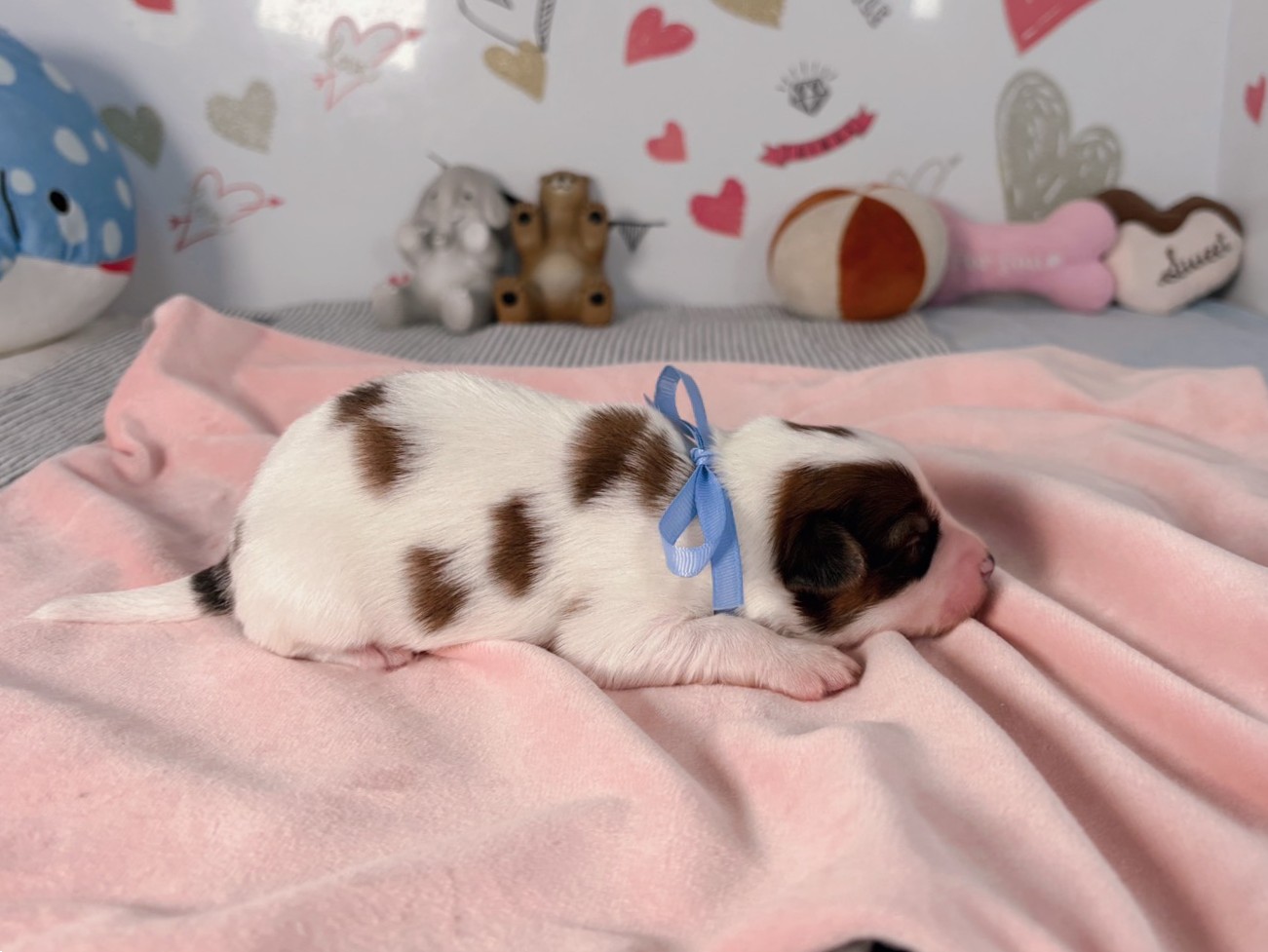 赤ちゃん写真1-2