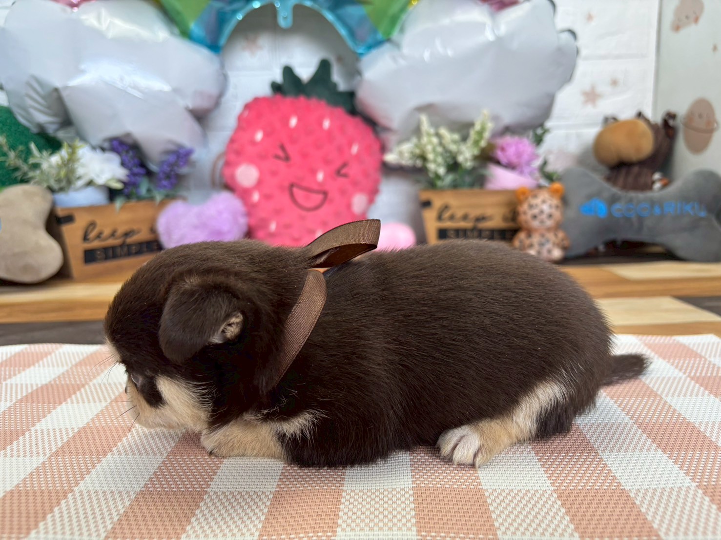 赤ちゃん写真2-2