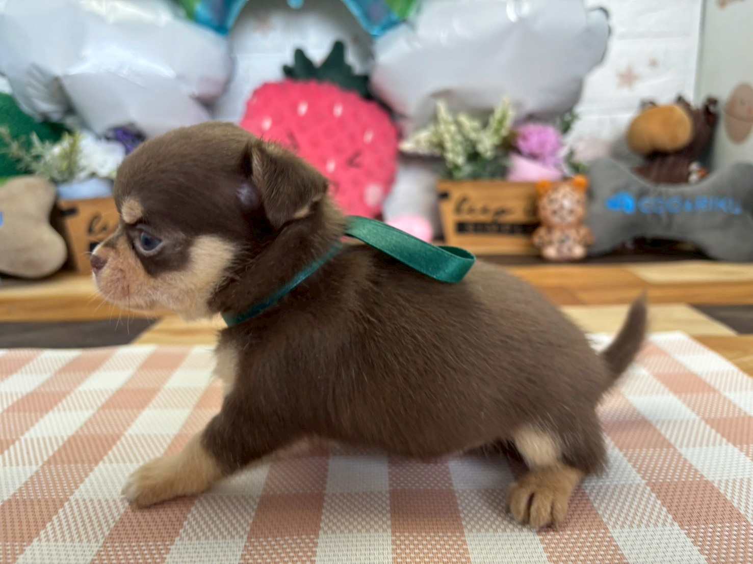 赤ちゃん写真2-2