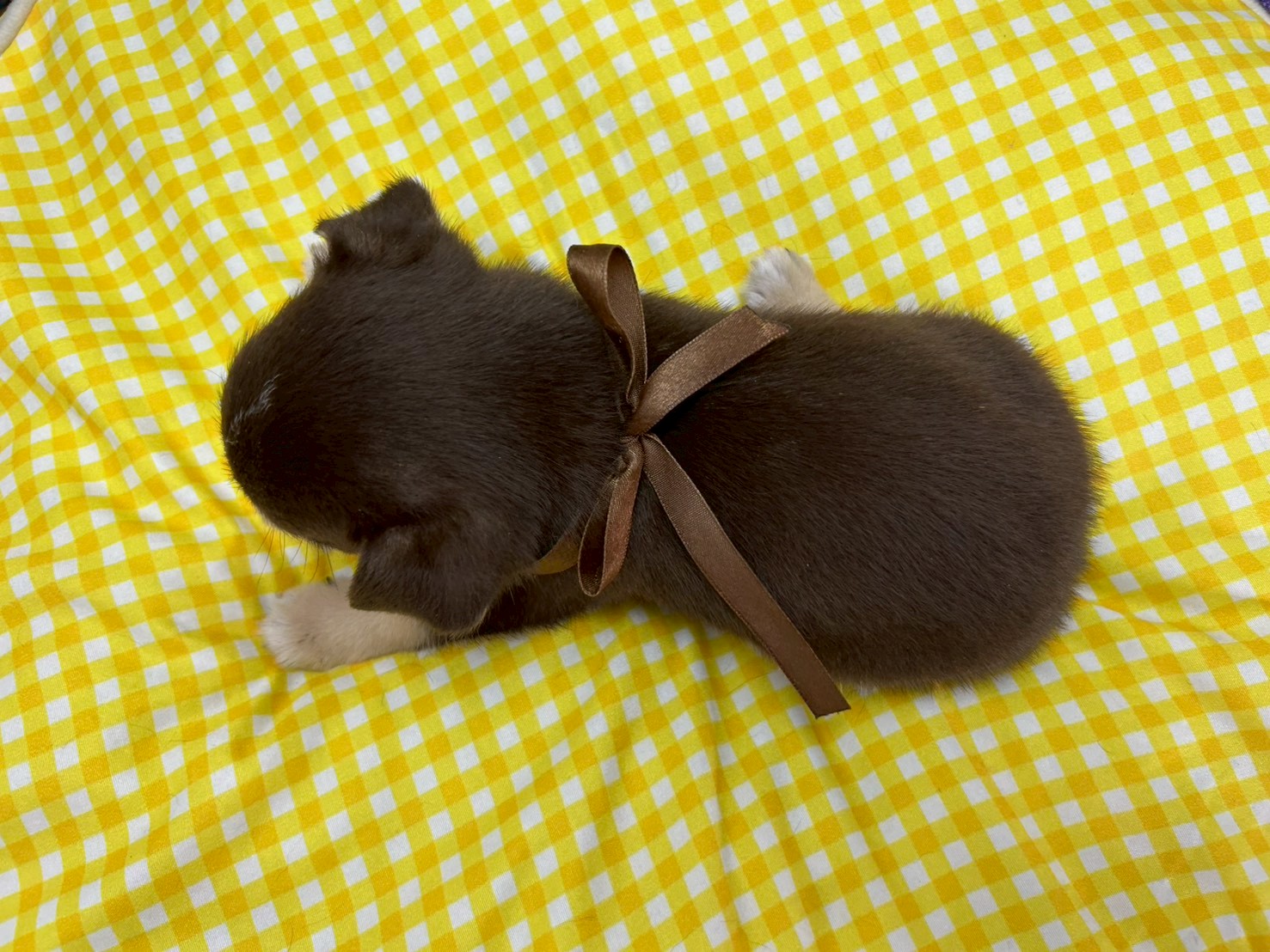 赤ちゃん写真3-3