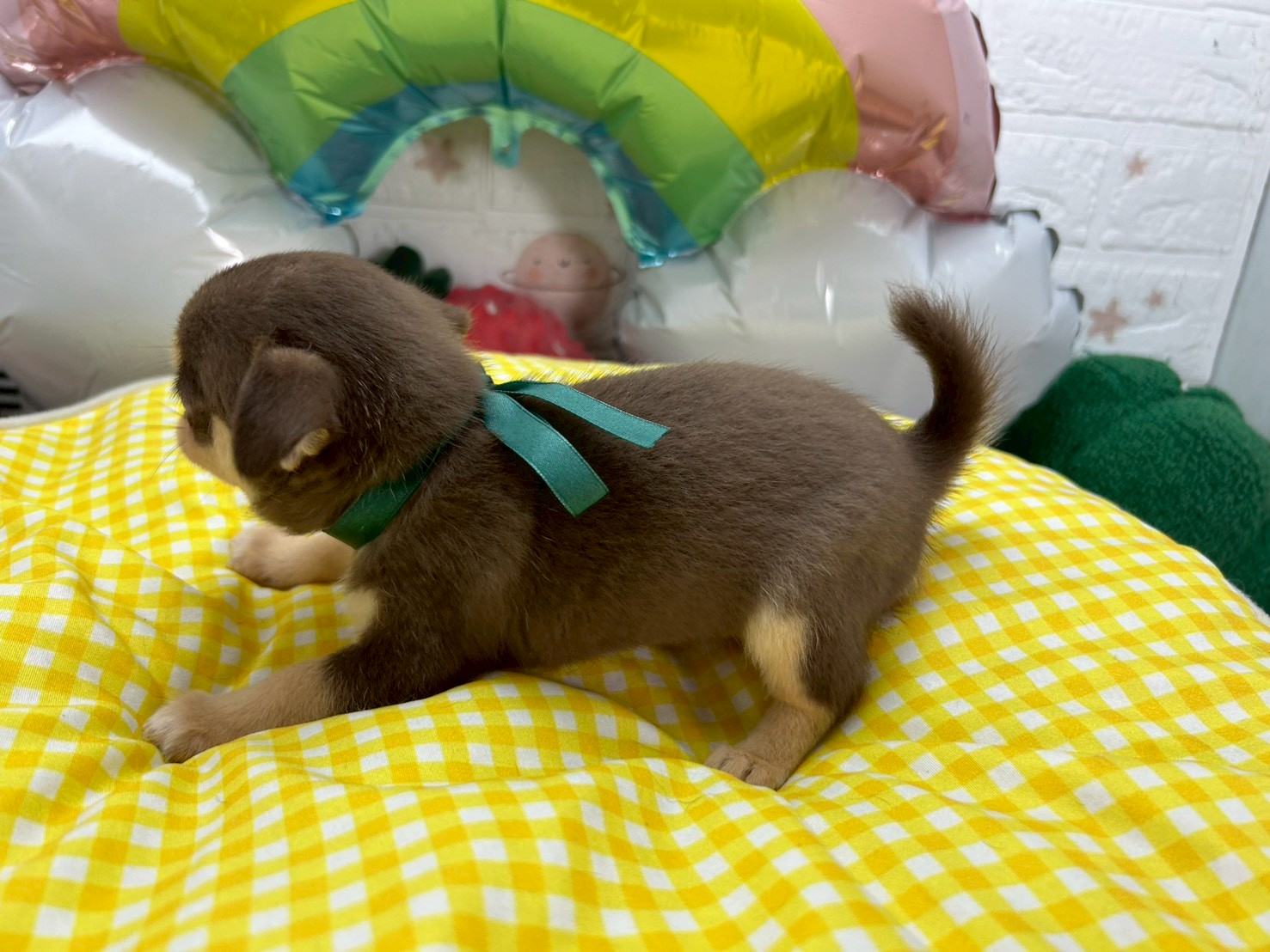 赤ちゃん写真3-2