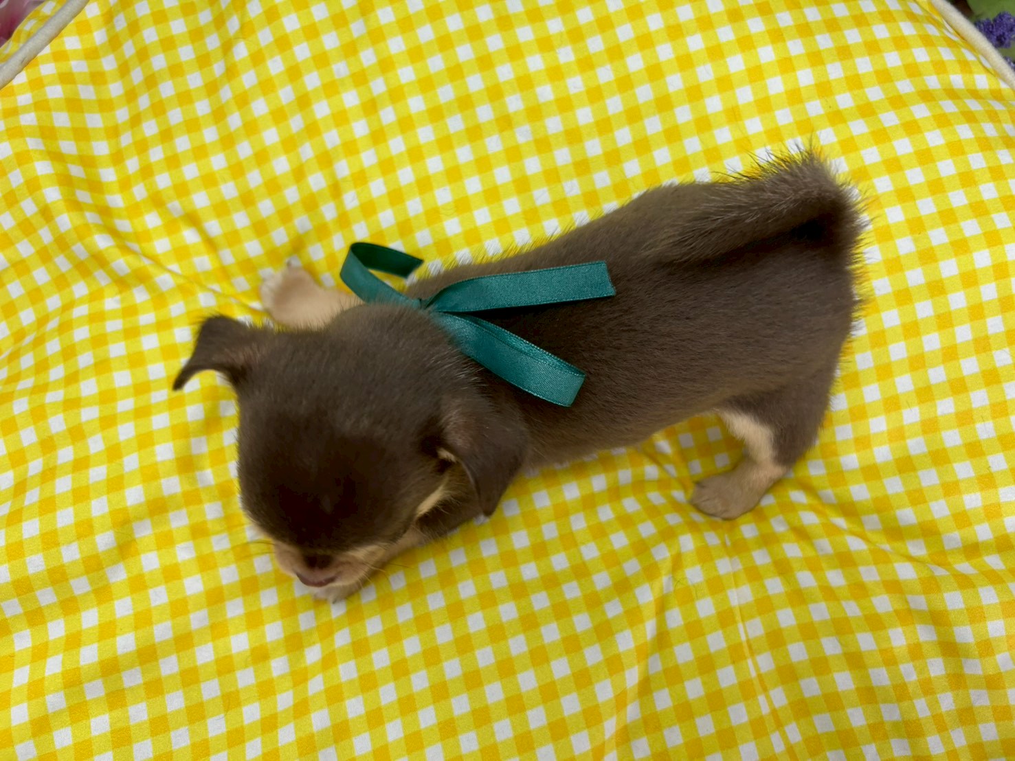 赤ちゃん写真3-3