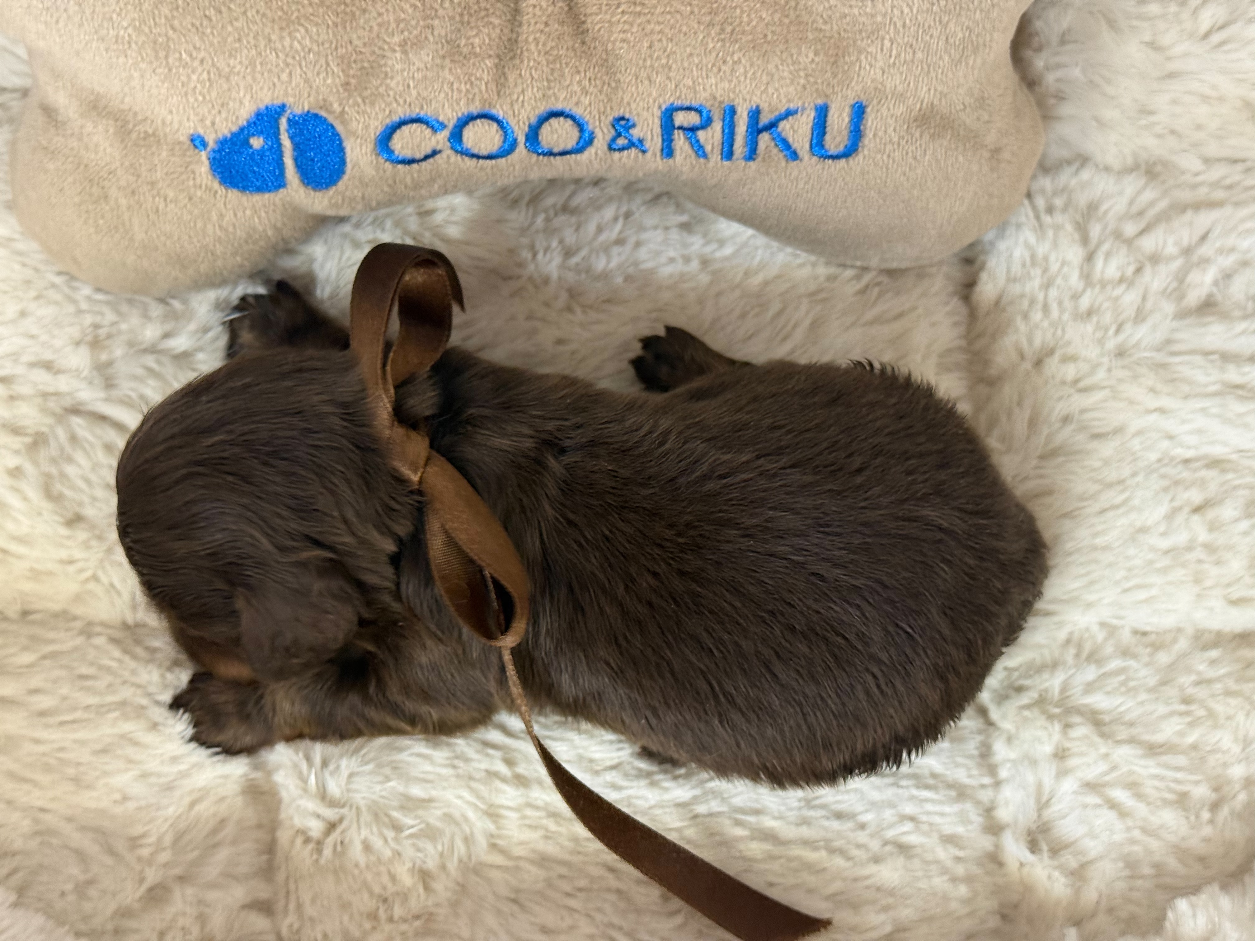 赤ちゃん写真1-3