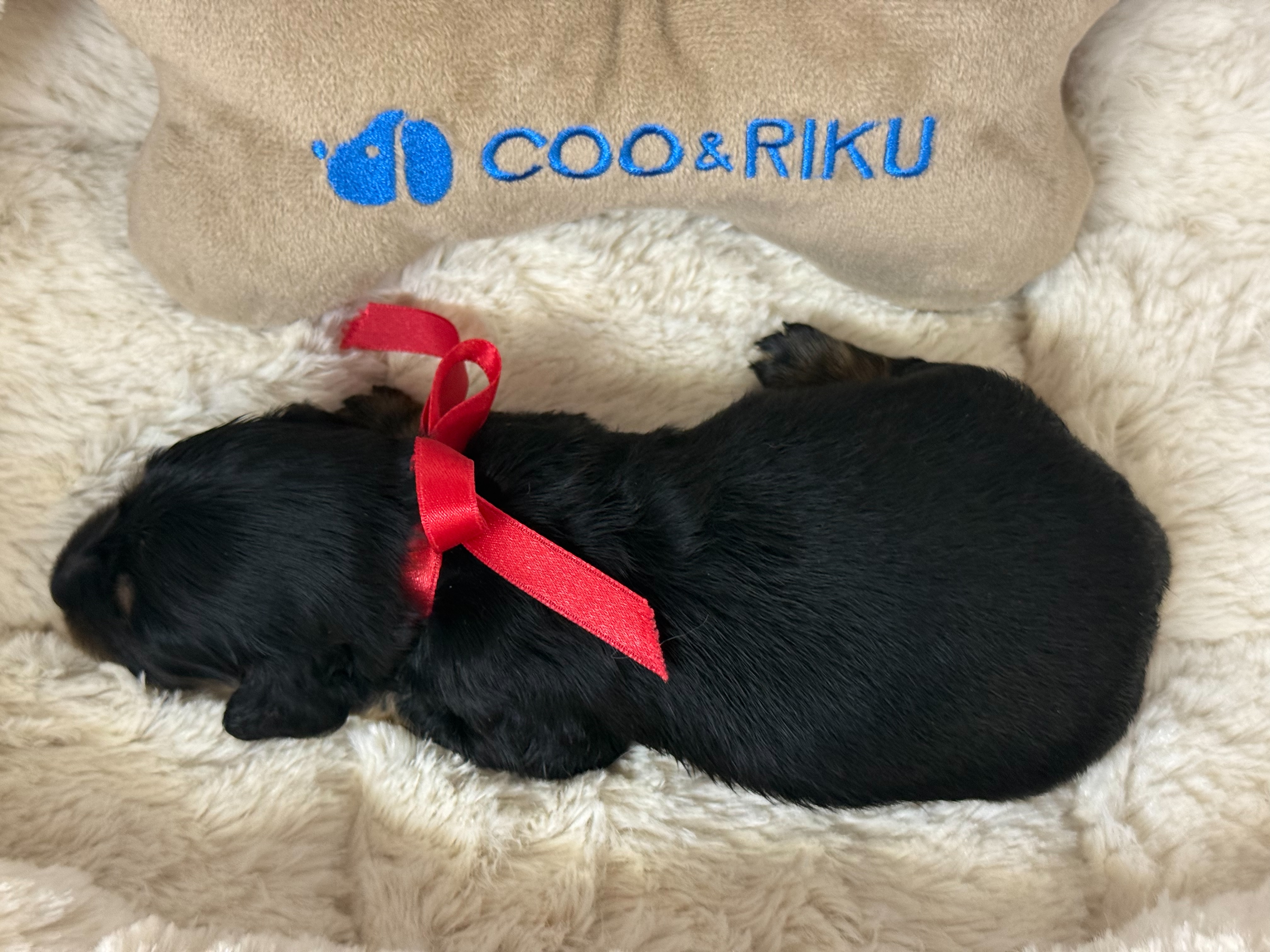 赤ちゃん写真1-3