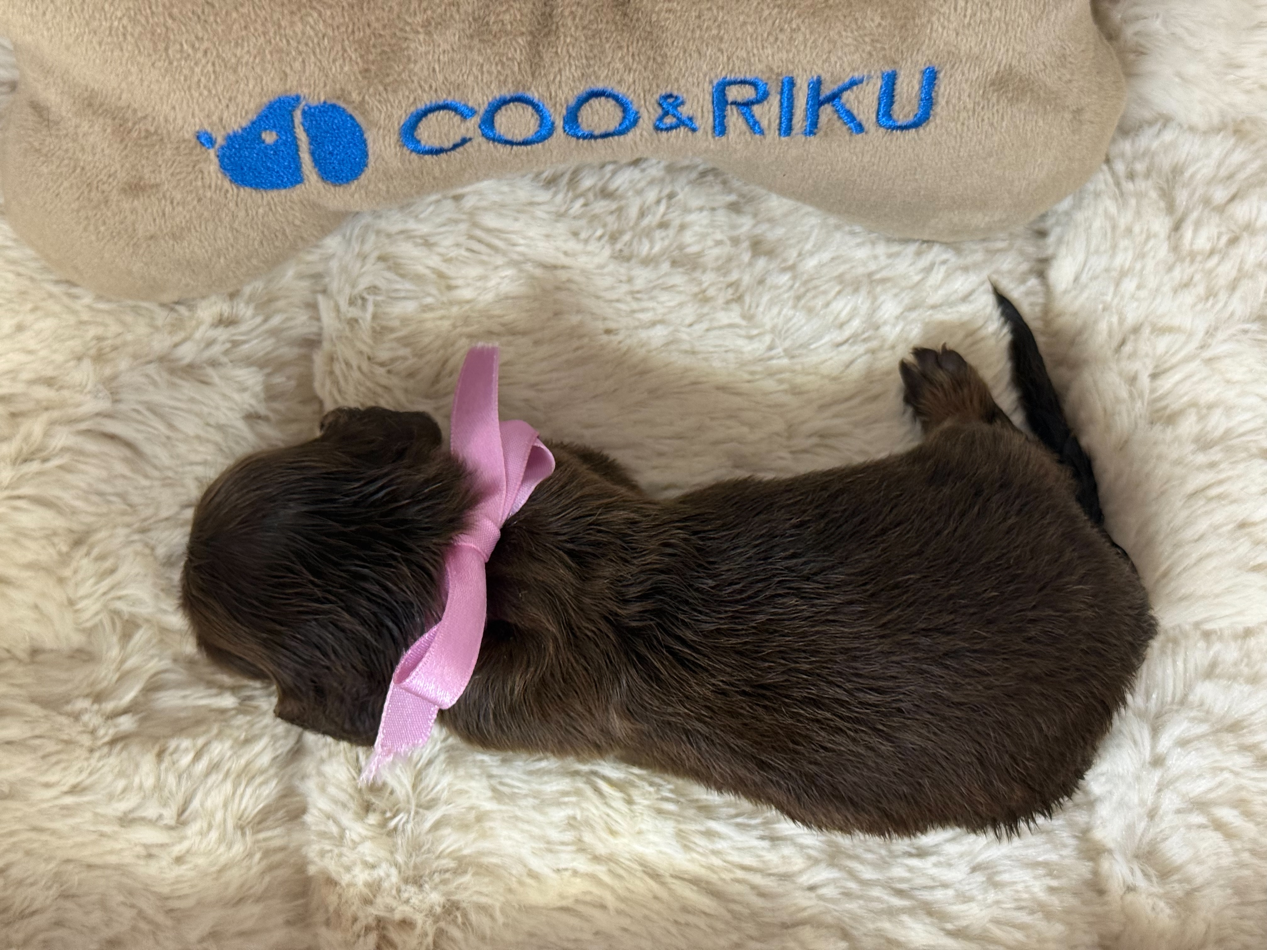 赤ちゃん写真1-3