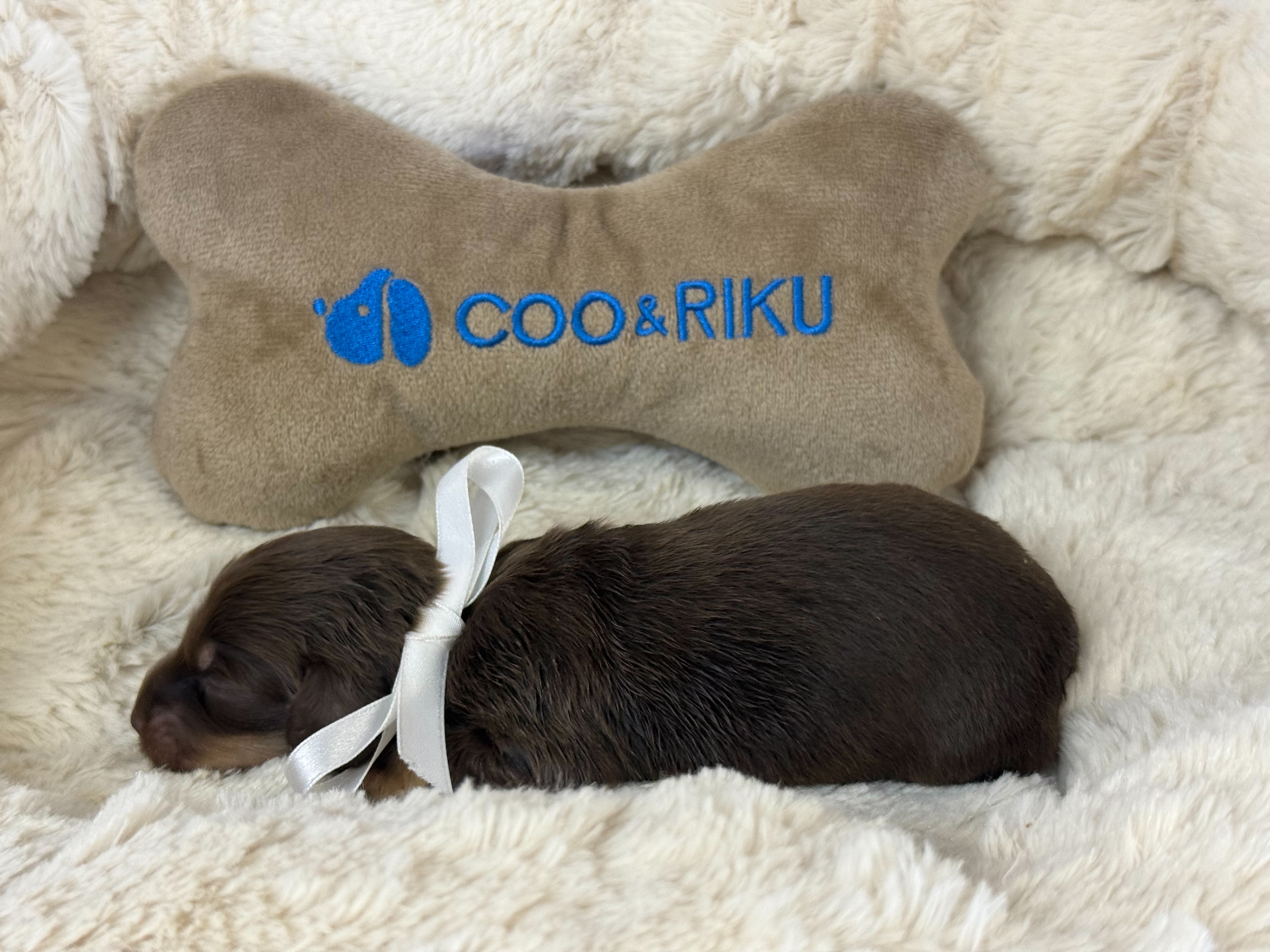 赤ちゃん写真1-2