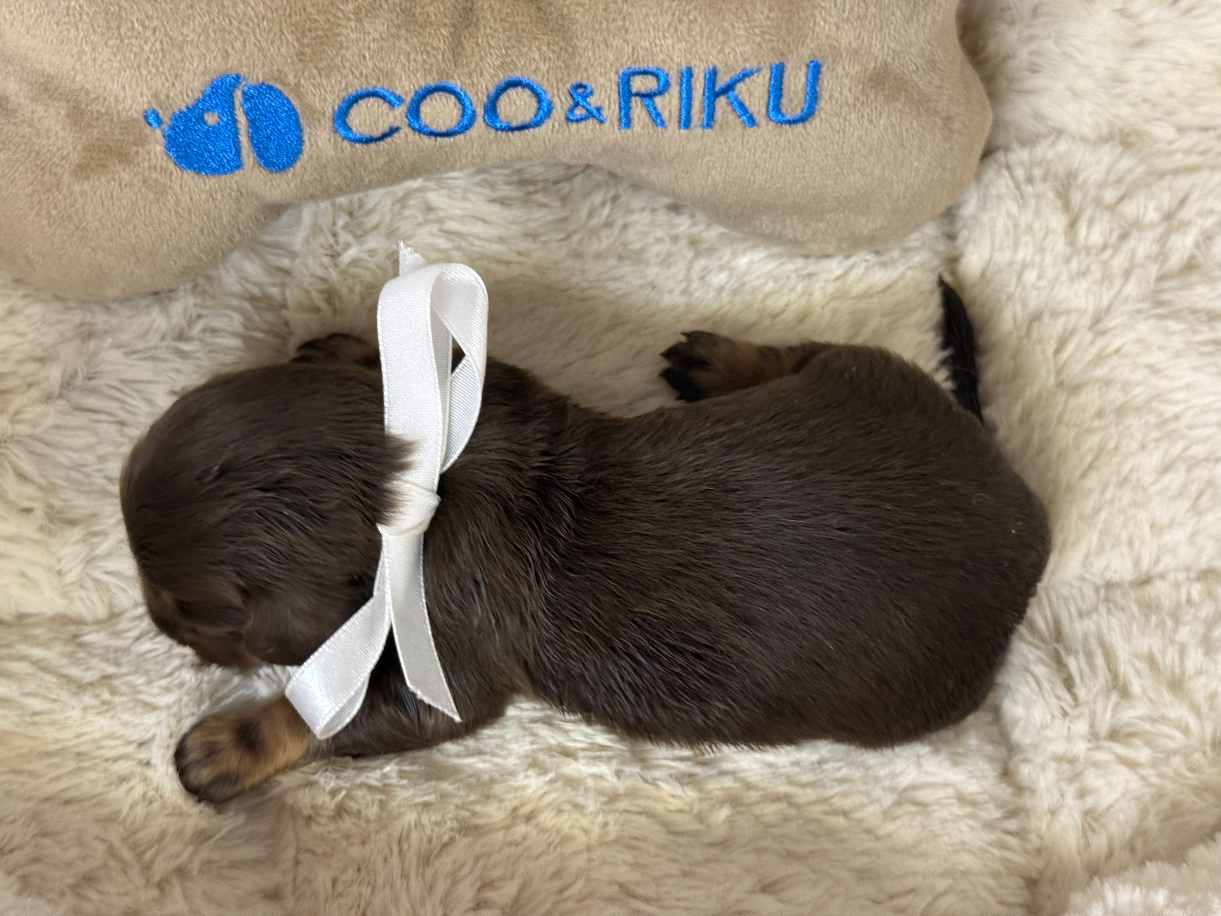 赤ちゃん写真1-3