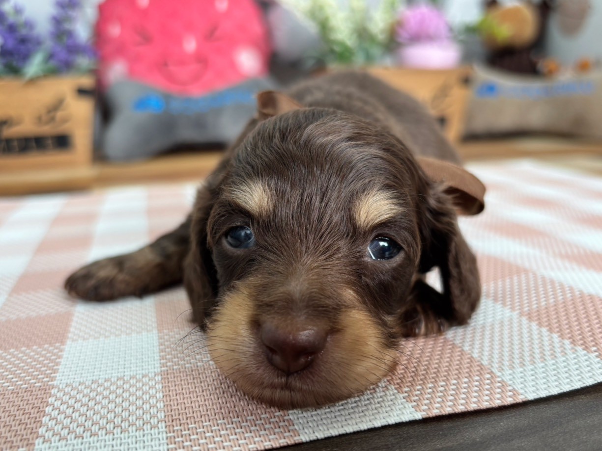 赤ちゃん写真2-1