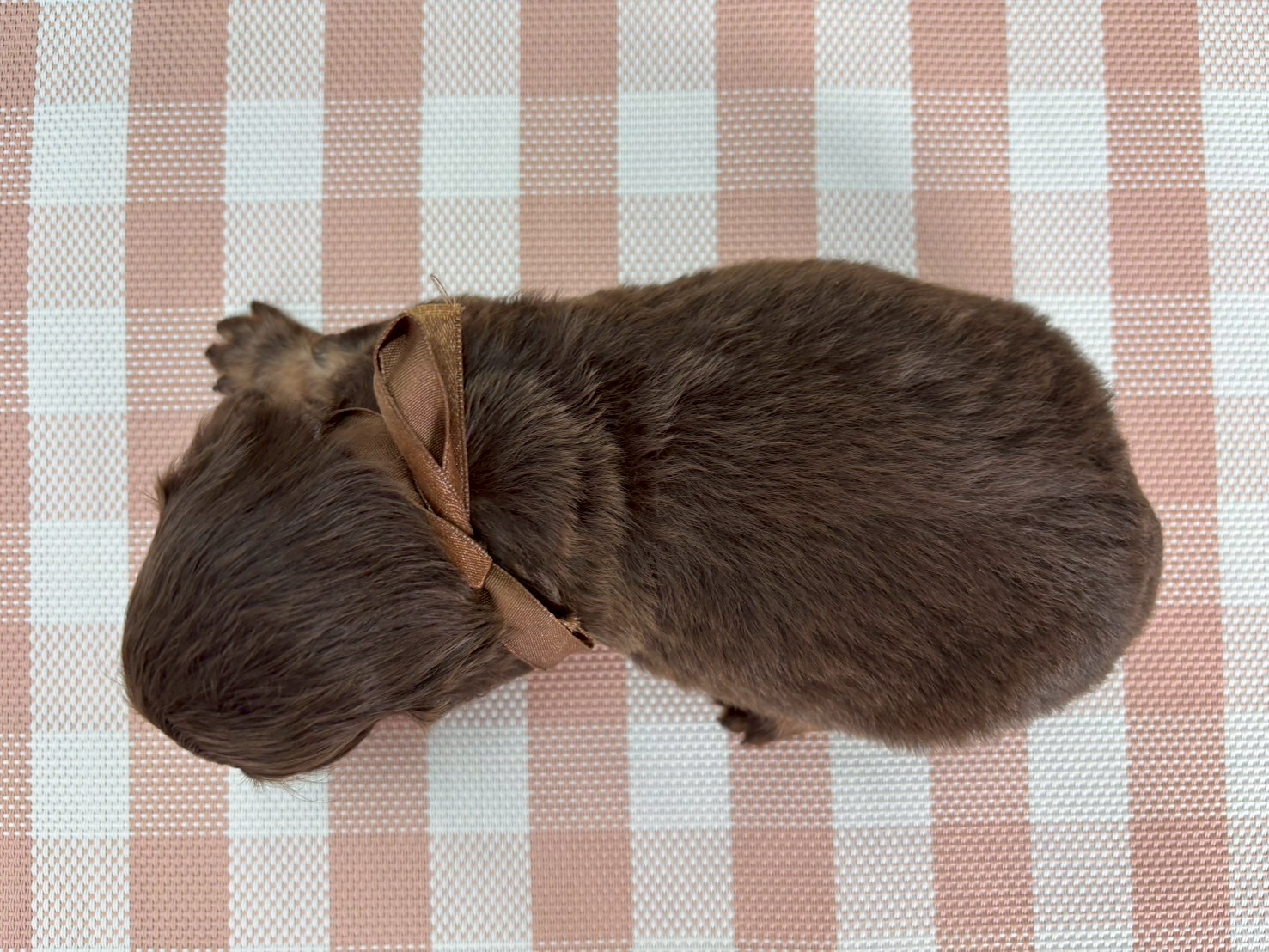 赤ちゃん写真2-3