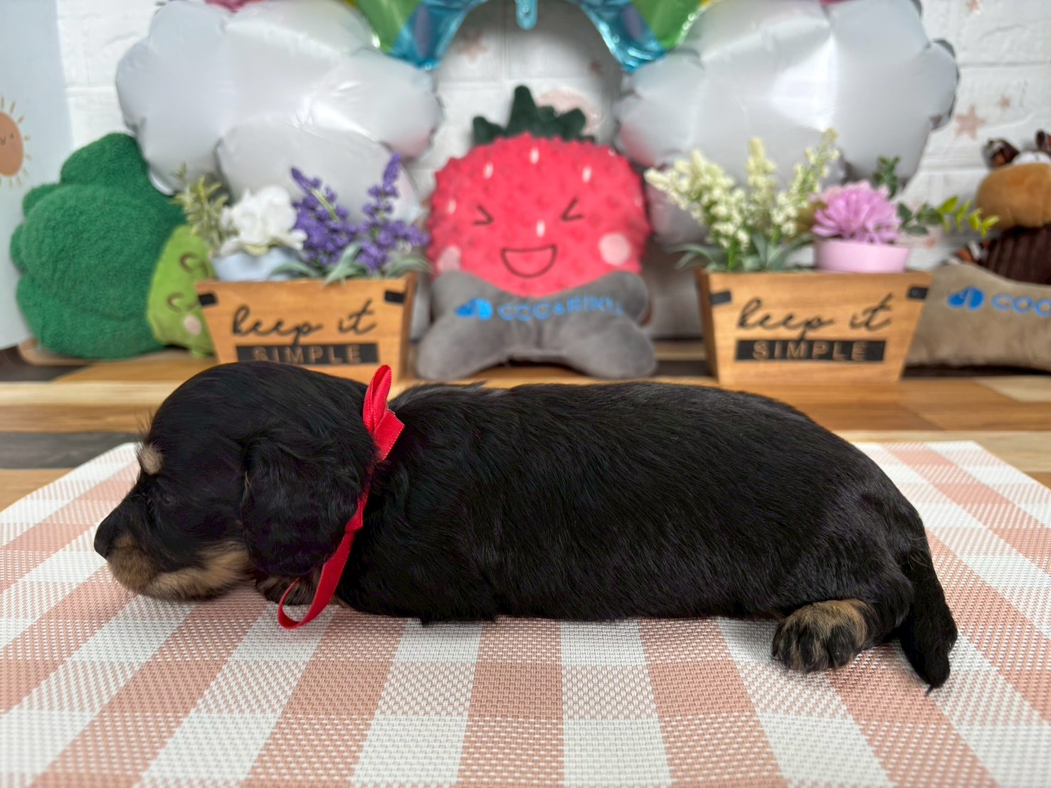 赤ちゃん写真2-2