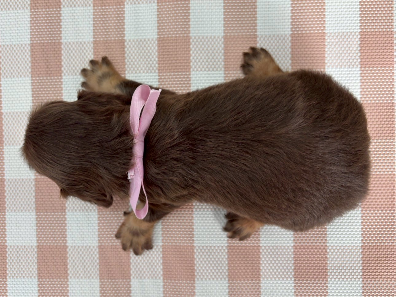 赤ちゃん写真2-3