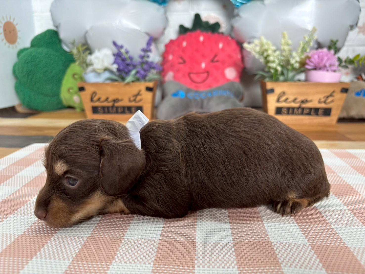 赤ちゃん写真2-2