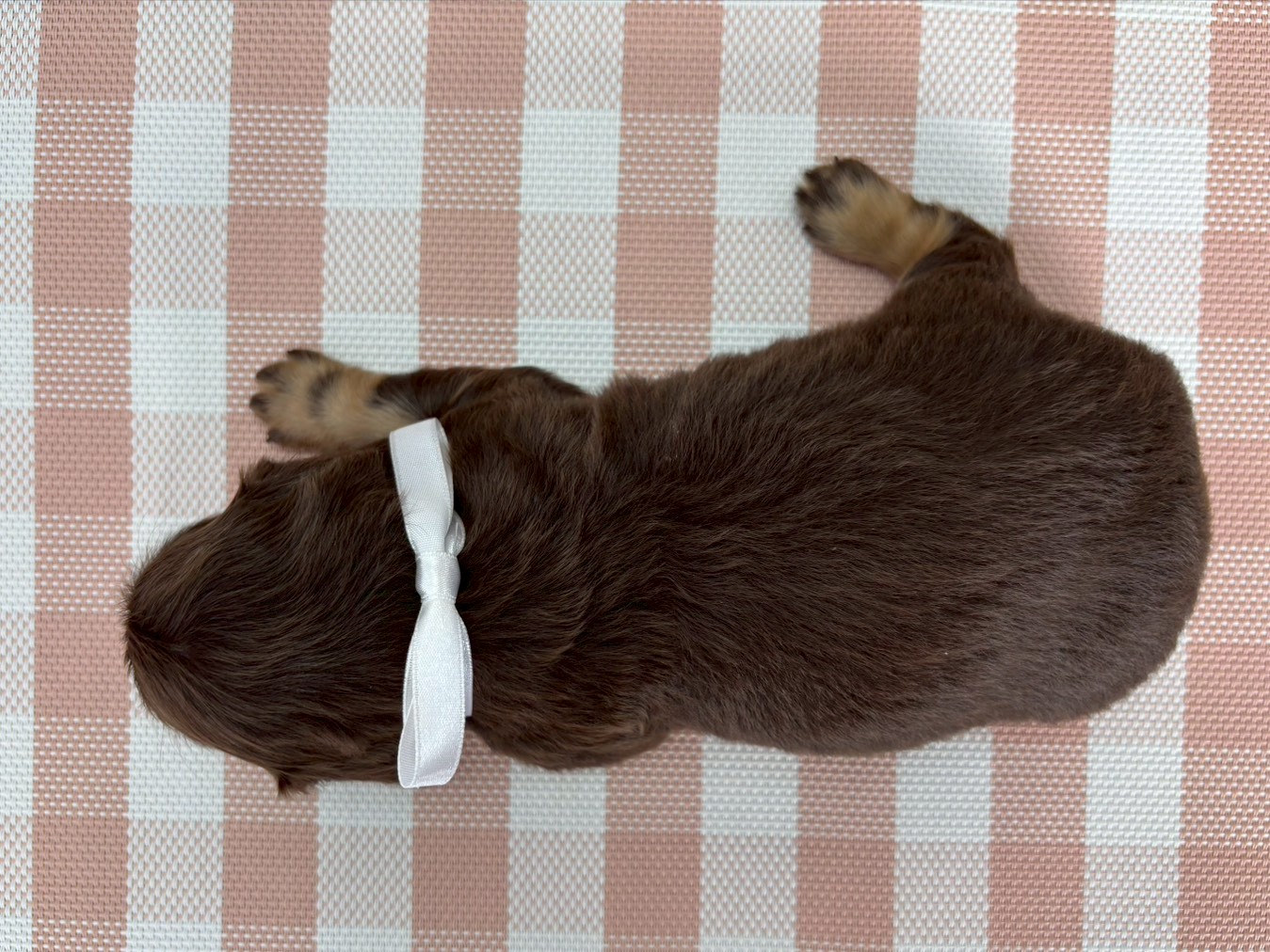 赤ちゃん写真2-3