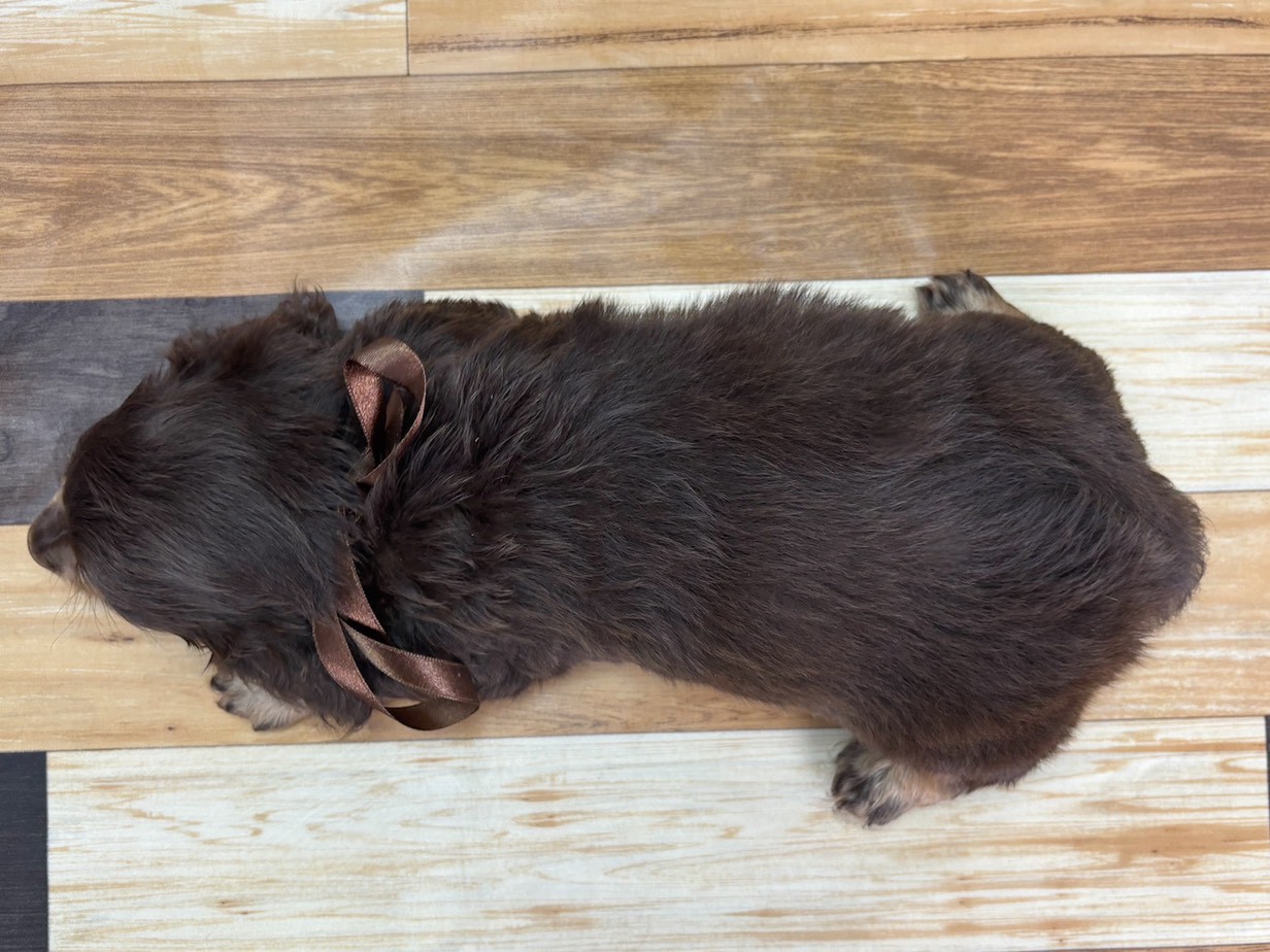 赤ちゃん写真3-3