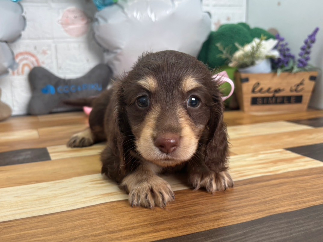赤ちゃん写真3-1