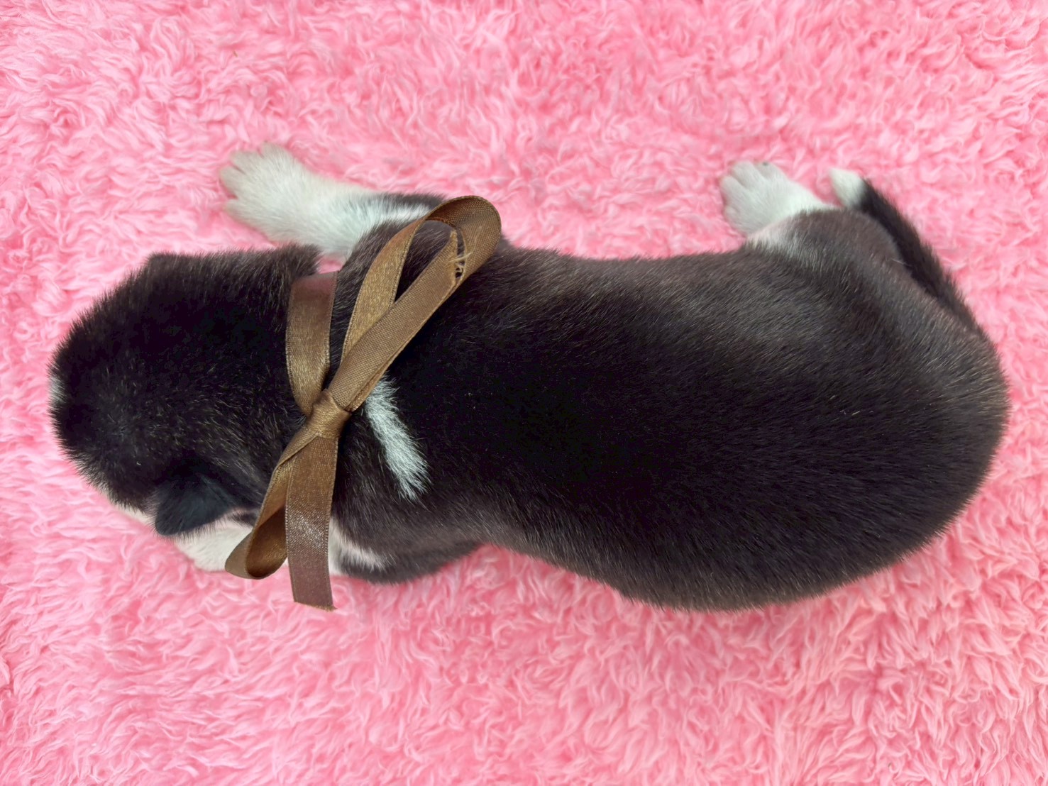 赤ちゃん写真1-3