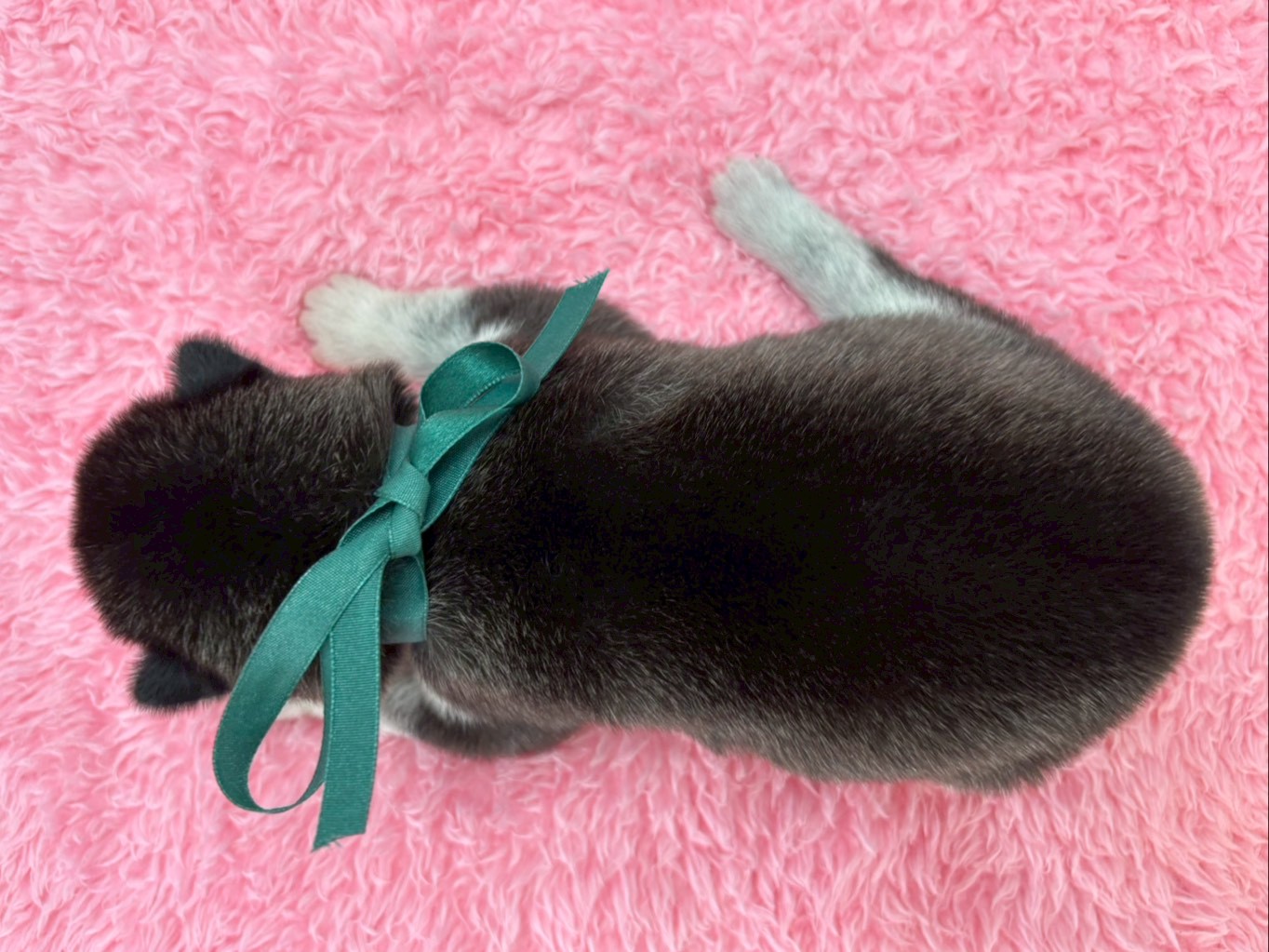 赤ちゃん写真1-3