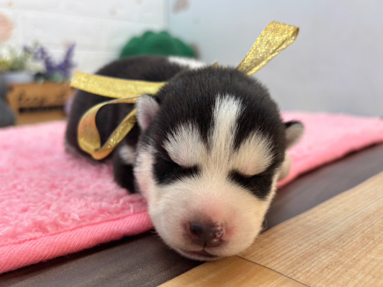 赤ちゃん写真1-1