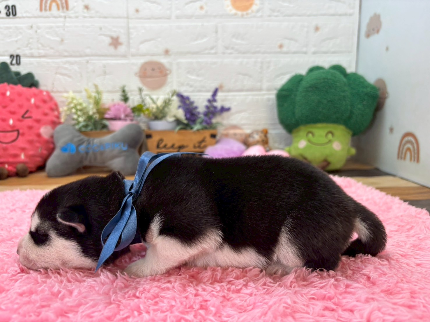 赤ちゃん写真1-2