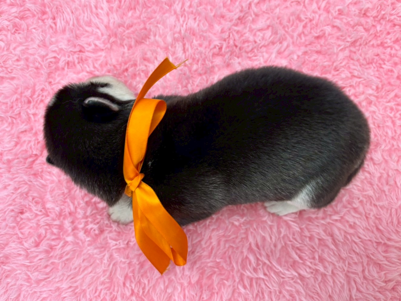 赤ちゃん写真1-3
