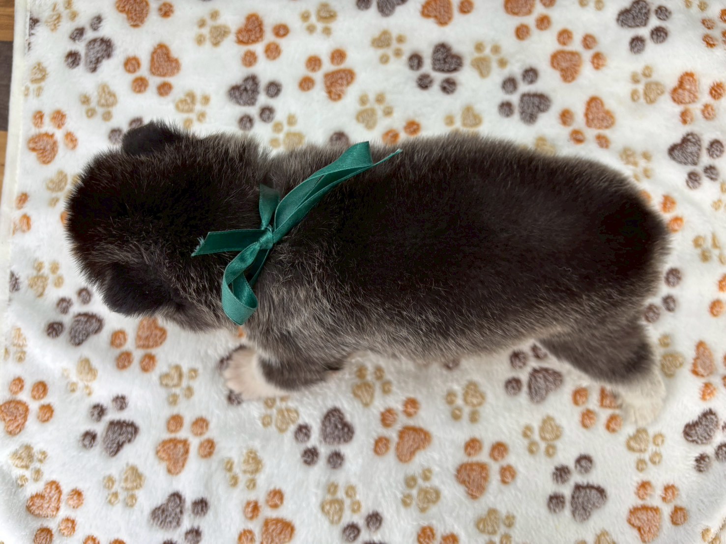 赤ちゃん写真2-3