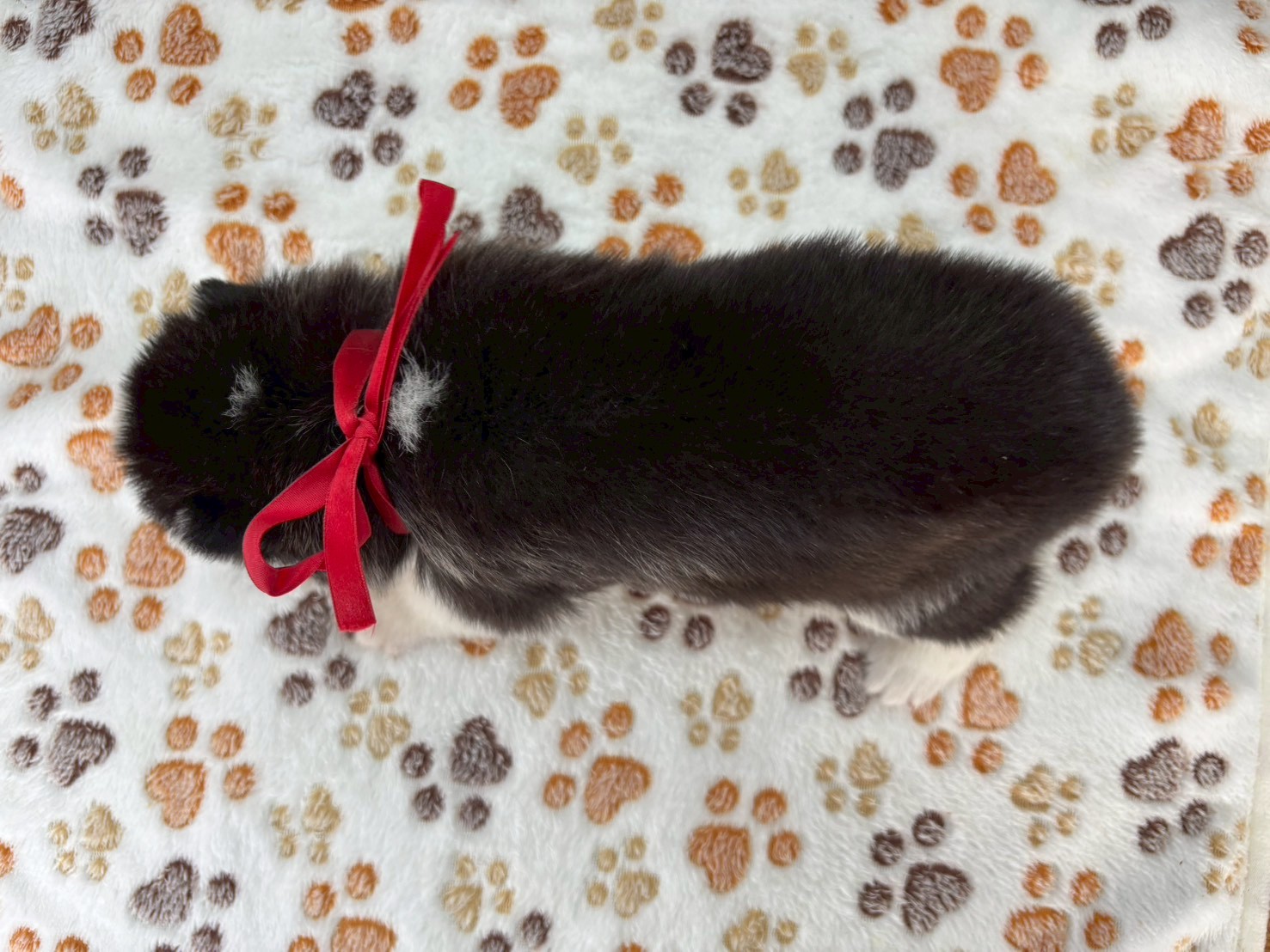 赤ちゃん写真2-3