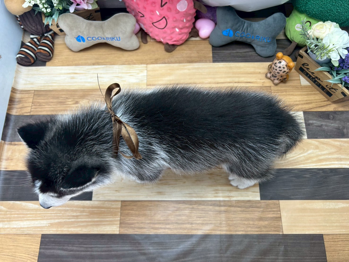 赤ちゃん写真3-3