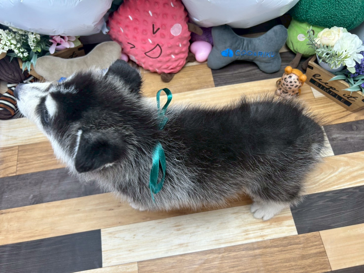 赤ちゃん写真3-3