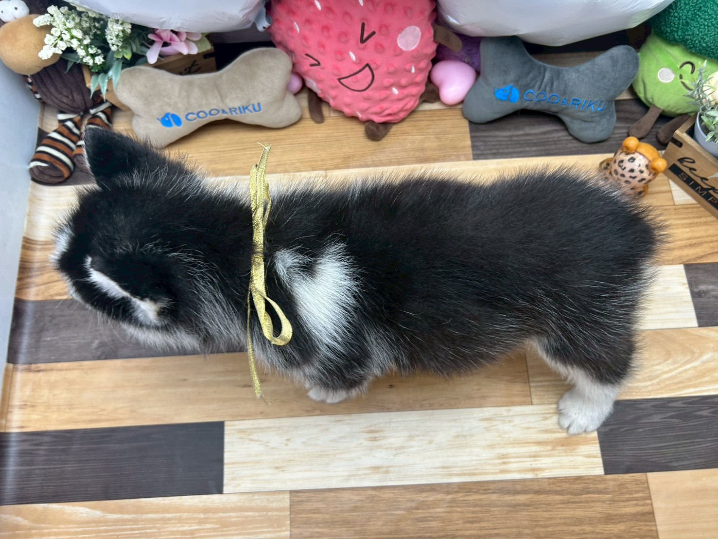 赤ちゃん写真3-3