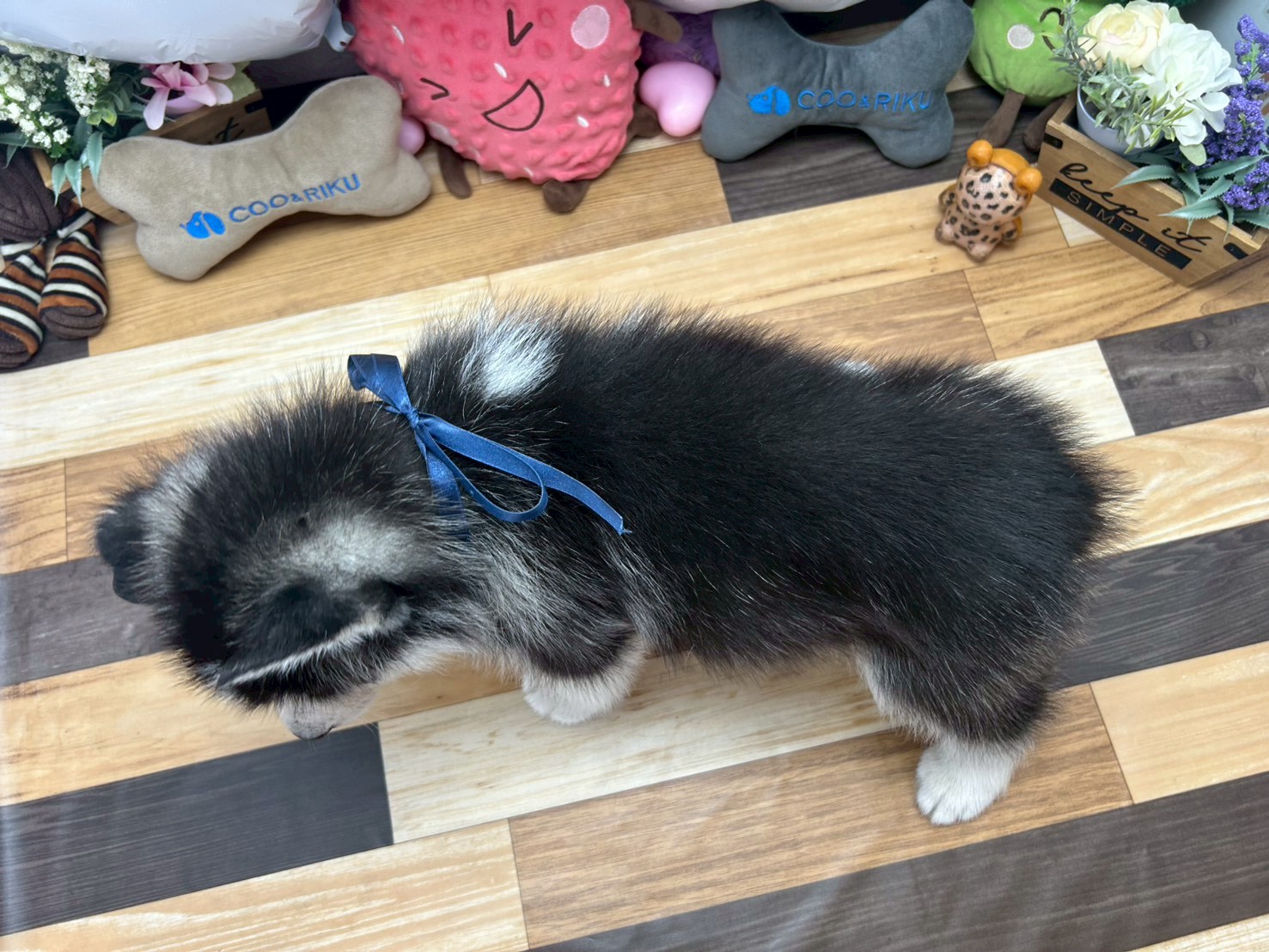 赤ちゃん写真3-3