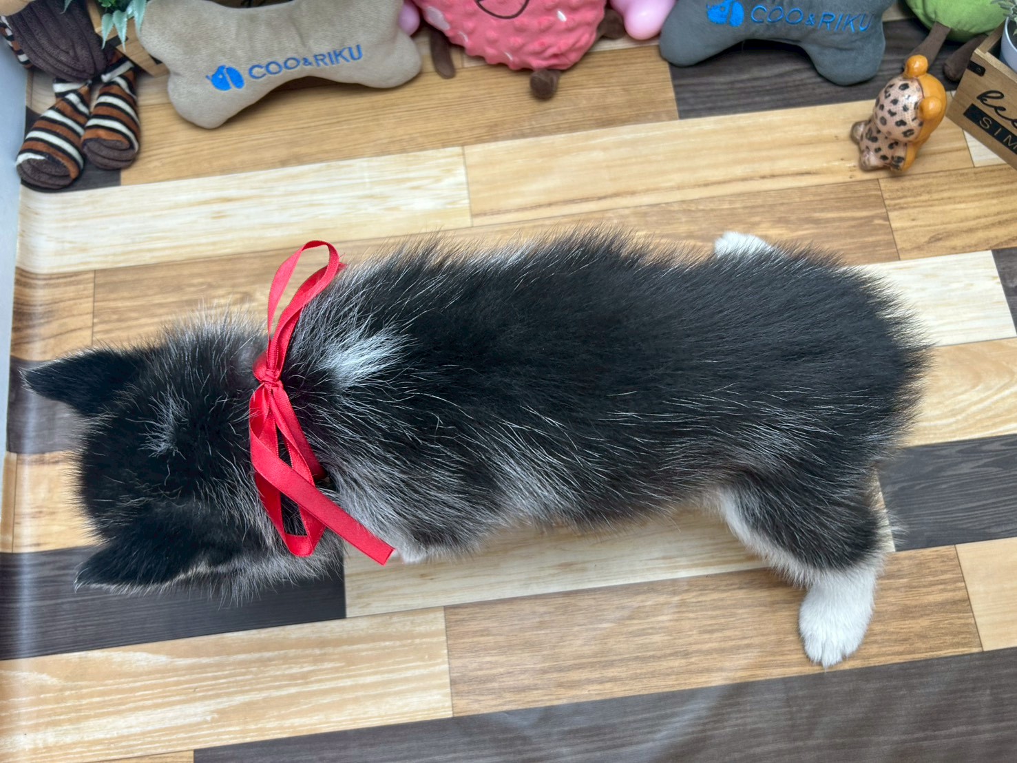 赤ちゃん写真3-3