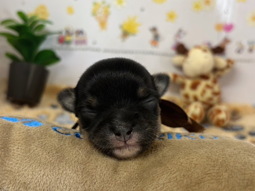 赤ちゃん写真1-1