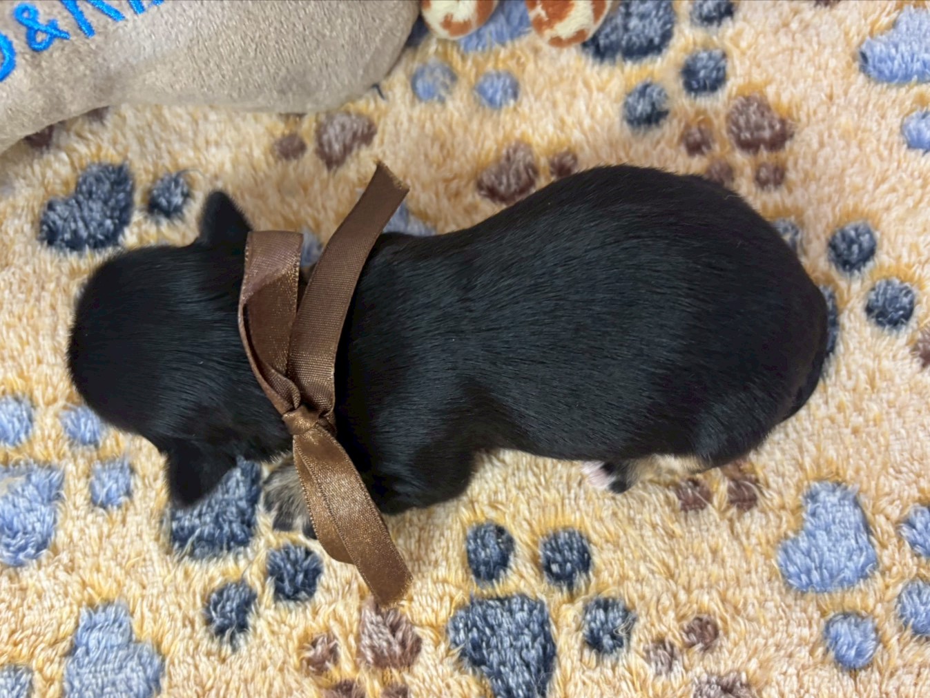 赤ちゃん写真1-3