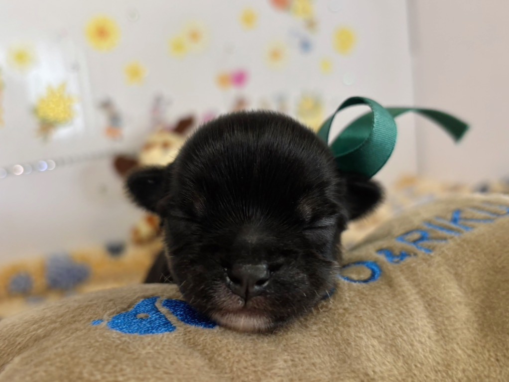 赤ちゃん写真1-1