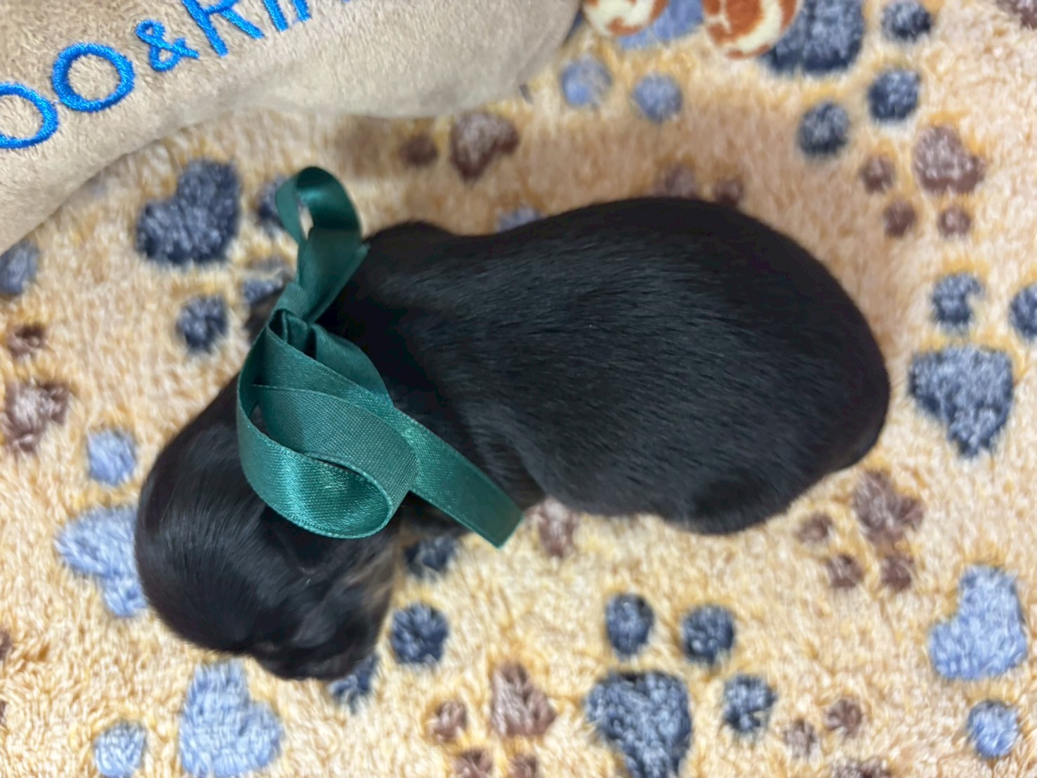 赤ちゃん写真1-3