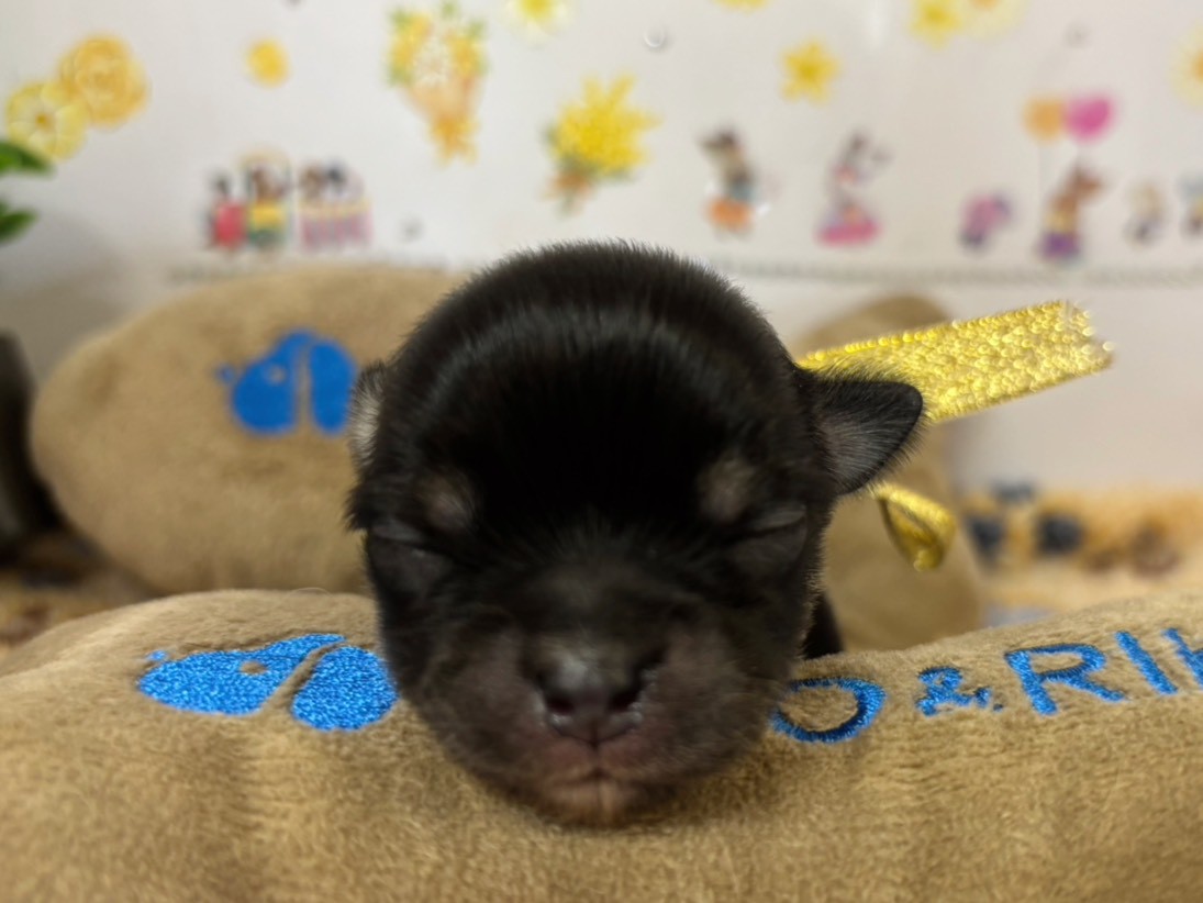 赤ちゃん写真1-1