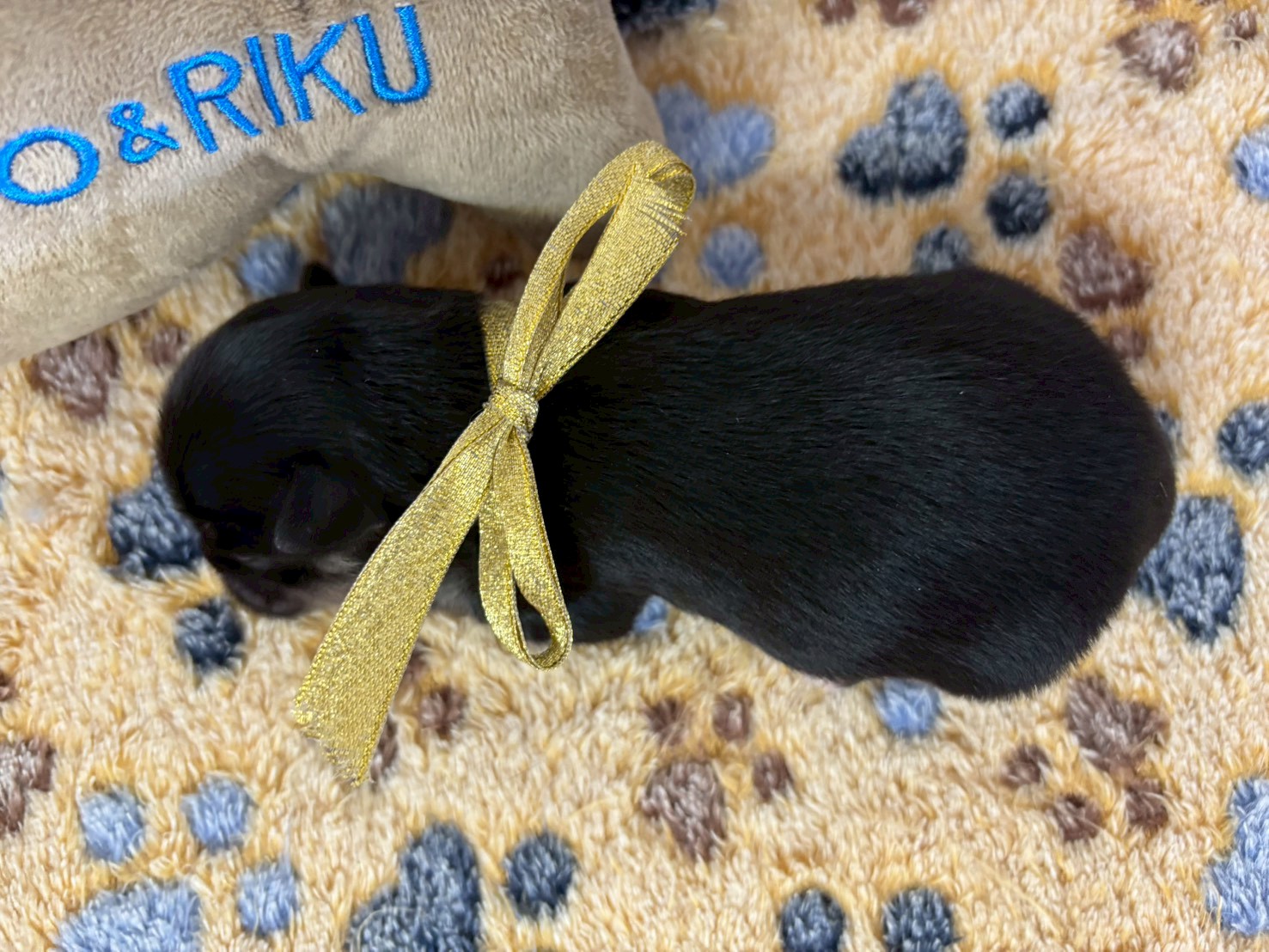 赤ちゃん写真1-3