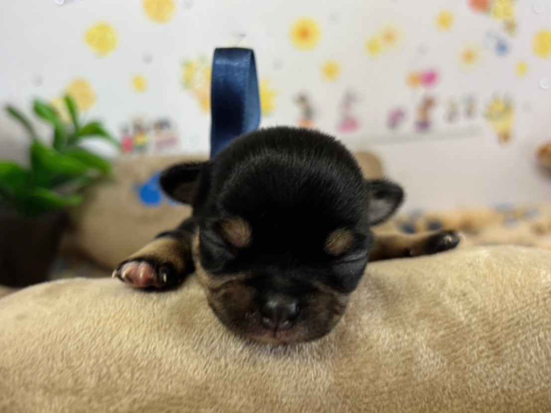 赤ちゃん写真1-1