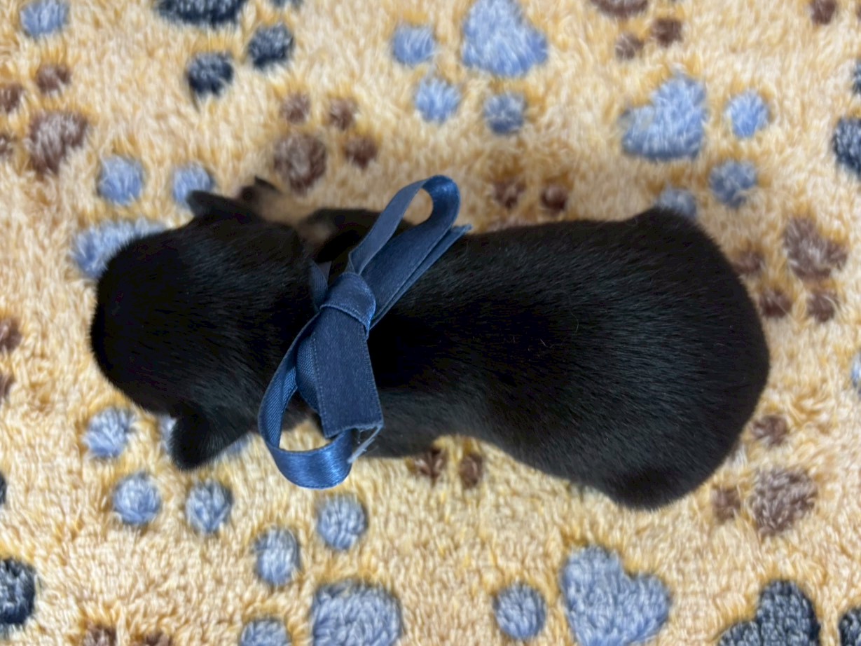 赤ちゃん写真1-3