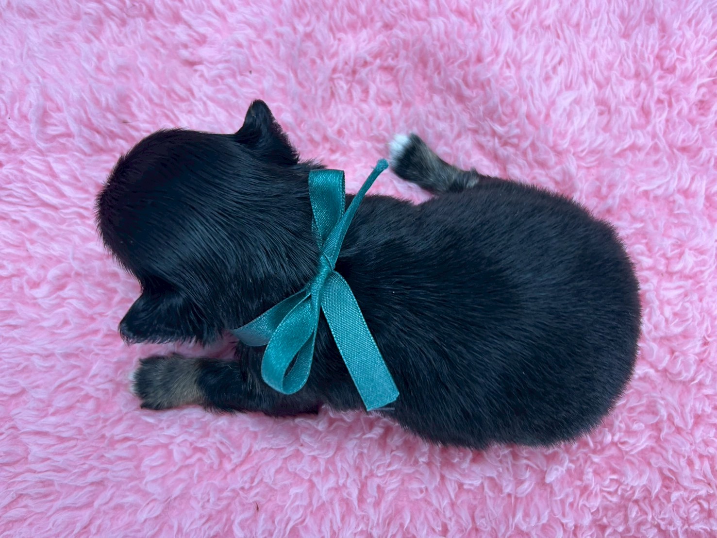 赤ちゃん写真2-3
