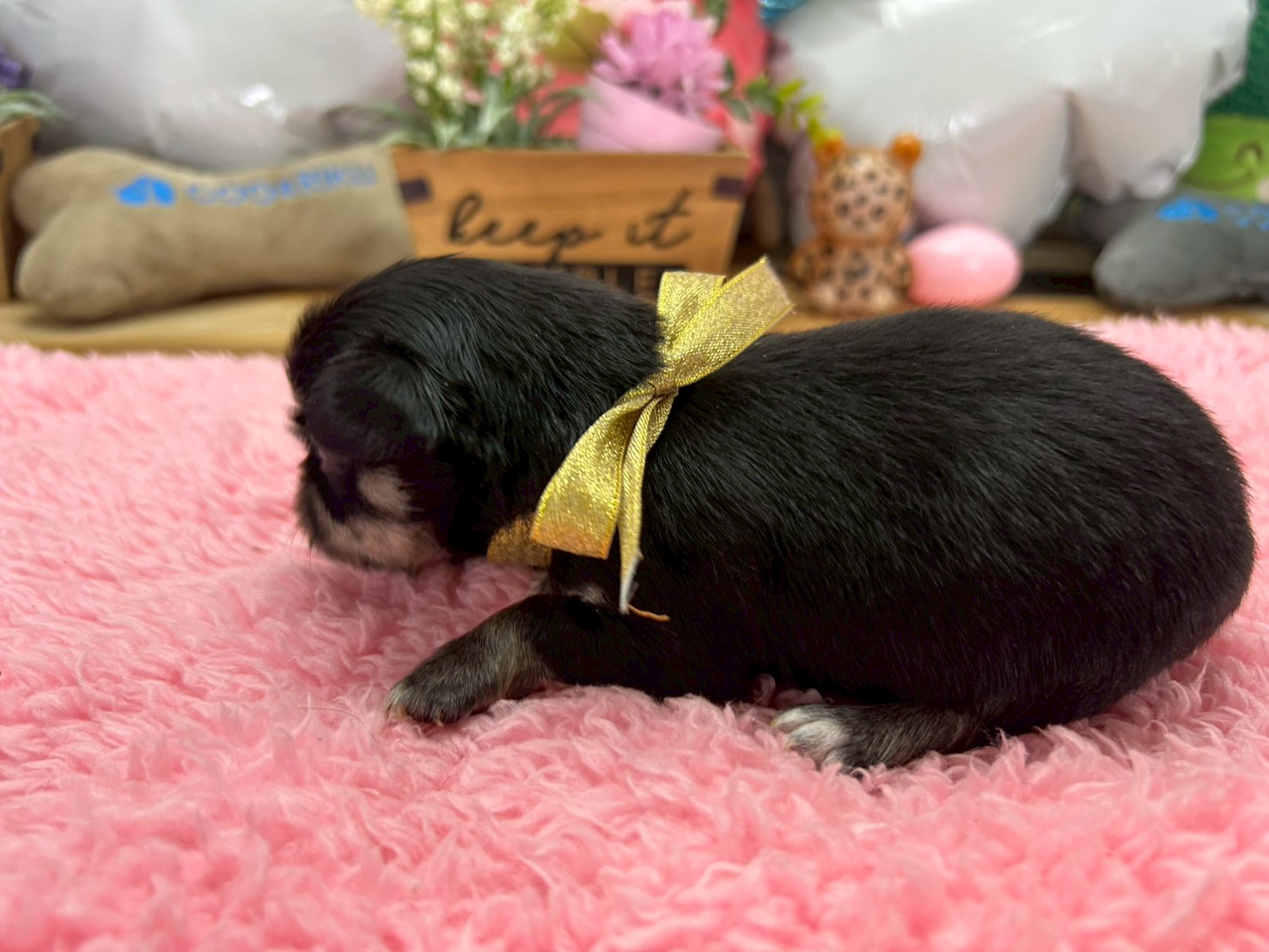 赤ちゃん写真2-2