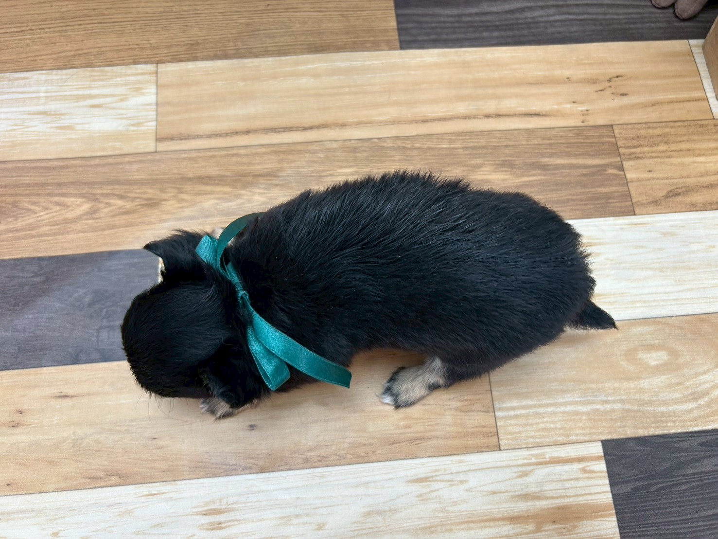 赤ちゃん写真3-3